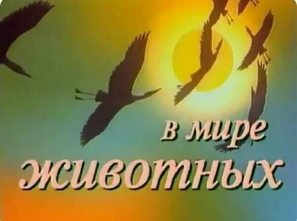 Начальство решило, что людям нужны развлекательные шоу с юмором ниже пояса, а Дроздов в этом участвовать не хотел Начальство решило, что людям нужны развлекательные шоу с юмором ниже пояса, а Дроздов в этом участвовать не хотел