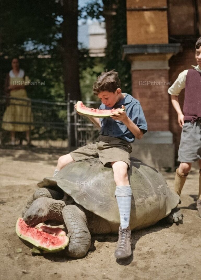 Исторические фото. Невообразимо! Братухина, «Жук», вождь, только, Монреале, Марийского, сегодня, вертикального, испытания, взлёта, стали, Пилатес, французский, траулер, оказался, кольцо, сеткой, выставке, экспериментальный, пилота