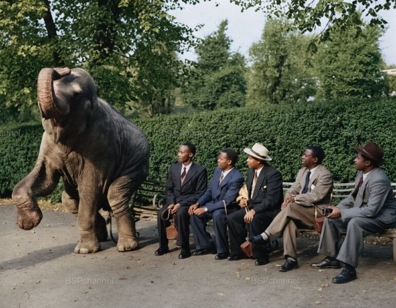 Исторические фото. Невообразимо! Братухина, «Жук», вождь, только, Монреале, Марийского, сегодня, вертикального, испытания, взлёта, стали, Пилатес, французский, траулер, оказался, кольцо, сеткой, выставке, экспериментальный, пилота